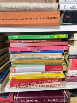 Ponúkam knihy všehochuť za lubovolný príspevok - 20