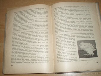 Domáci chov drobných hospodářských zvířat - 20