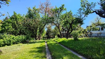 Vinica: Rozľahlá záhrada s chatou na celoročné bývanie - 20