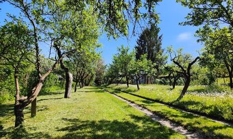 Vinica: Rozľahlá záhrada s chatou na celoročné bývanie - 20