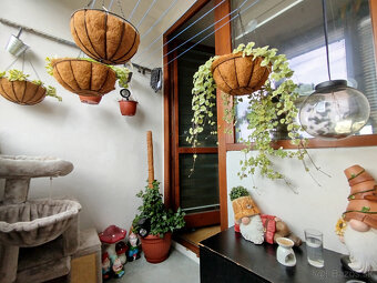 3 izbový byt, sídl.Ťahanovce - 20