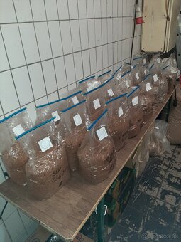 Hliva,Shitake,Maitake,Koralovec a iné - 20