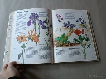 Pestrá priroda - 20