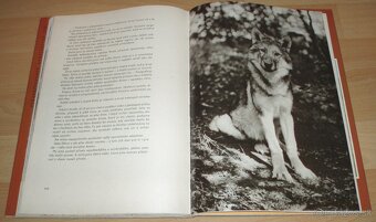 Osamělá vlčice - 20