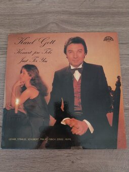 LP platne rôzne žánre-okres Levice - 20