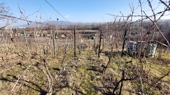  ZNÍŽENÁ CENA  PREDAJ - CHATKA S VINICOU - ZL. MORAVCE - 20