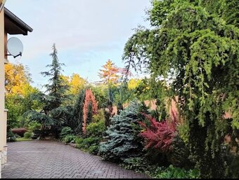 Predaj domu Lučenec - 20