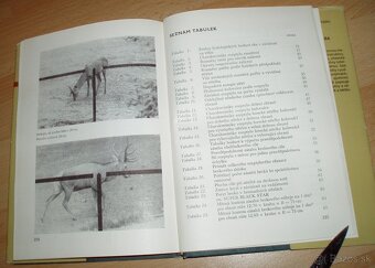 Lovecká střelba - 20