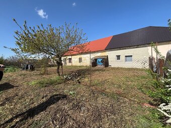 Čistenie pozemkov od náletový drevín / Kosenie /Pílenie - 20