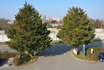 Na prenájom posledné kancelárie, kde je radosť pracovať - 20