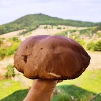 Chata na prenájom  neďaleko Banskej Štiavnici - 20