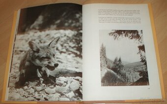 Povídání s liškou - 20