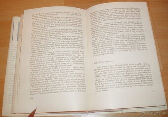 Lovy v Karpatech - 20