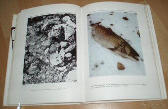 Hlavátka - 20