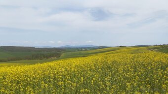 PREDAJ: Starší vidiecky dom s veľkým pozemkom a vínnou pivni - 20