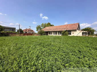 Vidiecky domček s dušou v kúpeľnom meste Nesvady - 20