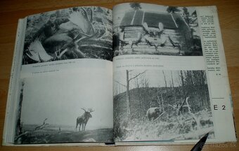 Poľoval som na Alaske - 20