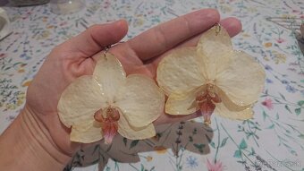 Orchidea náušnice - 20