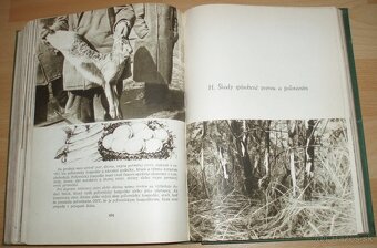 Poľovníctvo v obrazoch - 20