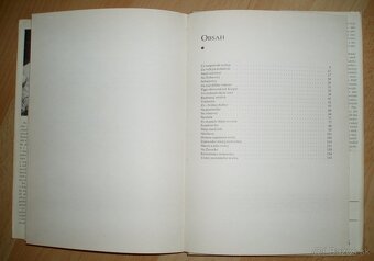 Trofej neznámeho strelca - 20