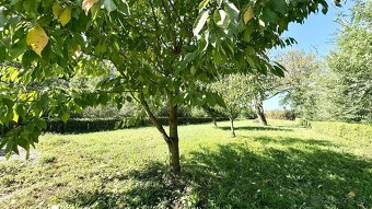 MAĎARSKO - MÉRA PEKNÝ GAZDOVSKÝ RD PO REKONŠTRUKCII. - 20