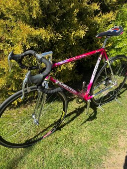 Colnago Tecnos Art Decor - 20