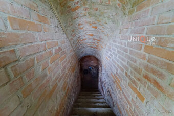 Na predaj: Vidiecka usadlosť pri Veľkom Mederi – 1ha, dom - 20