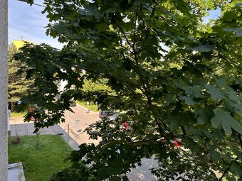 Priestranný 4 izbový byt s balkónom - Rezedová - 20