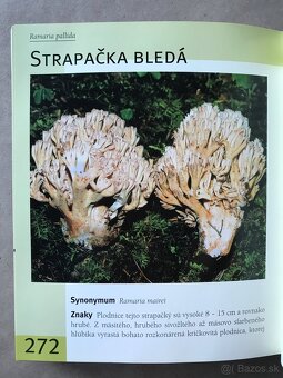 Čičmany, Bratislava zadným vchodom 1918 -2005, Spiritismus - 20