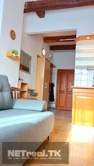 ROMANTICKÉ BÝVANIE – ATYPICKÝ PODKROVNÝ- Garzónka - - 20