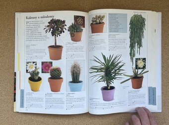 Knihy Príjemný Život s Kvetinami Obľúbené Izbové Kvety - 20