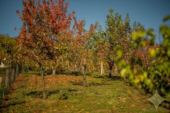 Viničný dom s ovocným sadom "Danka" - 20