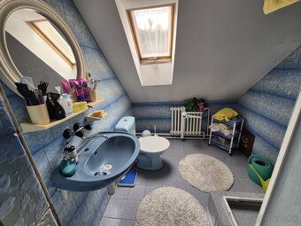 Rodinný dom s veľkou záhradou / 2024 m2 / - Skalité - 20