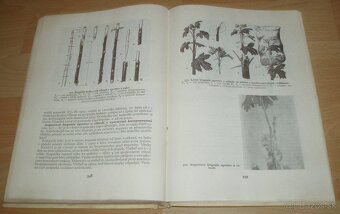 Štepenie, očkovanie a preštepovanie drevín - 20