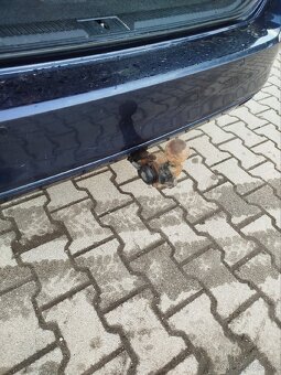 Volkswagen Passat B8 2.0TDI 110kw - 20