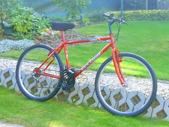 Horský bike Vector - 20