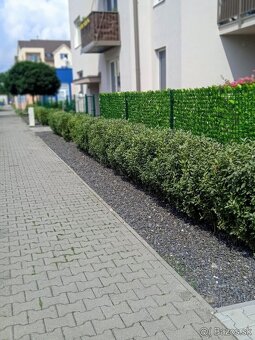 Udžbarské práce pre bytové a nebytové domy v BA. - 20