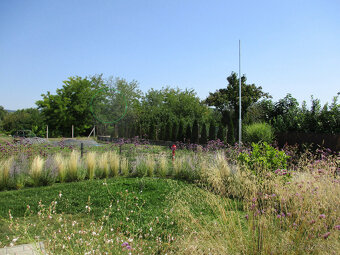 Canon IXUS 185 červený - 20