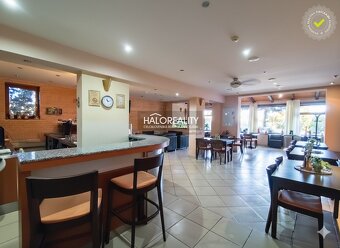 HALO reality - Prenájom, reštauračný priestor Dudince, Bar a - 20
