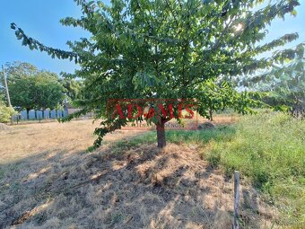 ADOMIS - Predáme stavebný pozemok na dvojdom, trojdom 1160m2 - 20