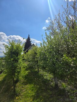 Chata Kunov 2 - 20
