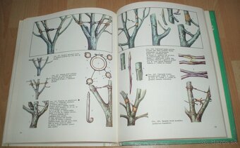 Tvarovanie a rez ovocných dreví - 20