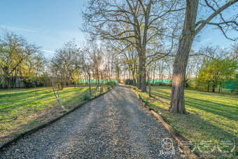 BOSEN | Jedinečné vidiecke sídlo, RD, stajňa, 30 000 m² poze - 20