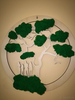 Machové obrazy - 20