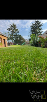 BAR v úplnom centre  obce Špačince - 20