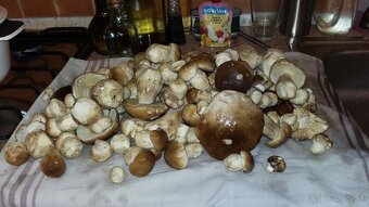 Dom, chalupa, Liptov, Važec, Tatry, 14 a viac osob - 20