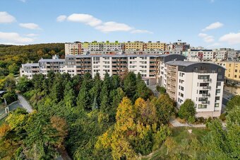 NA PREDAJ EXKLUZÍVNY 4-IZBOVÝ BYT S VÝHĽADOM NA RAKÚSKO - 20