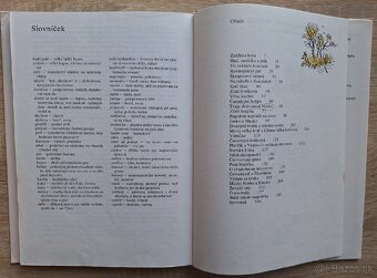 Slovenske rozpravky 1+2 - 20