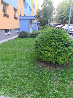 3- izb. VNKS, 72,40m2, po kompletnej rekonštrukcii s lodžiou - 20
