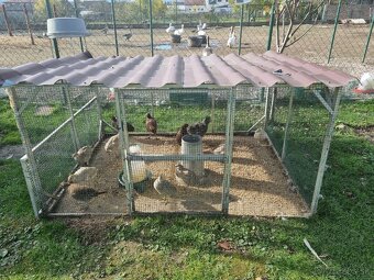 Voliéra ,klietka - 20